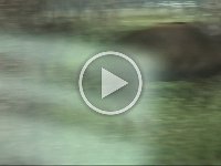 Untitled Clip 01 43